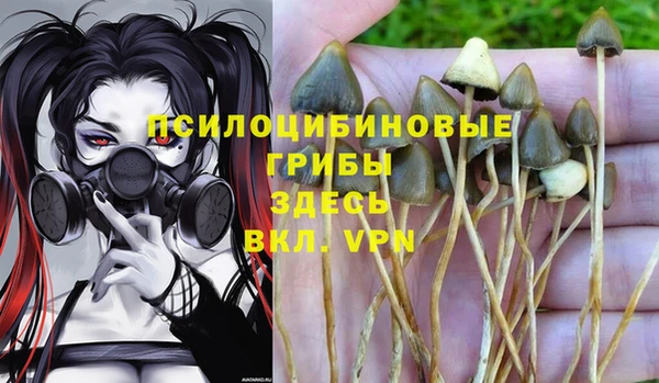 метамфетамин Нязепетровск