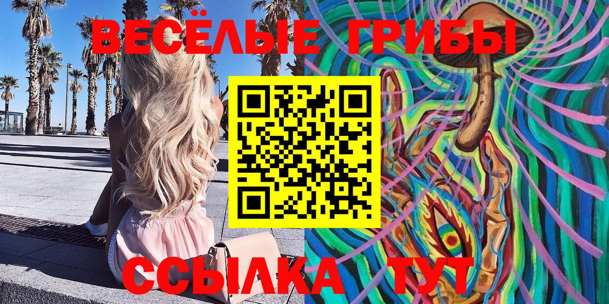 Псилоцибиновые грибы Cubensis Богородск