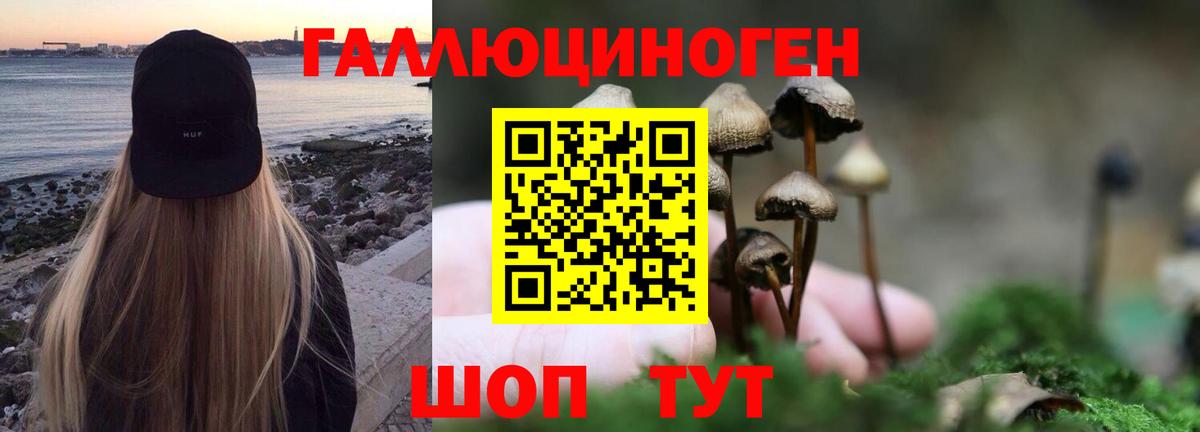 Псилоцибиновые грибы мухоморы Богородск