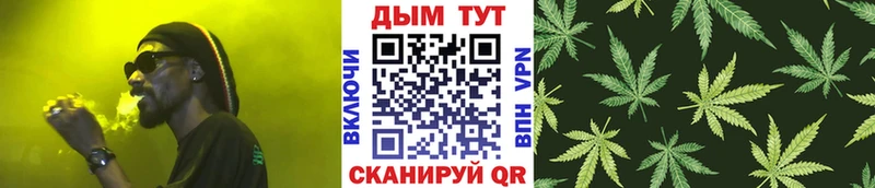 где купить   Богородск  Шишки марихуана индика 