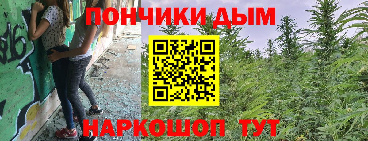 Канабис Amnesia Богородск